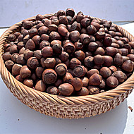 东北特产毛榛子坚果2000g