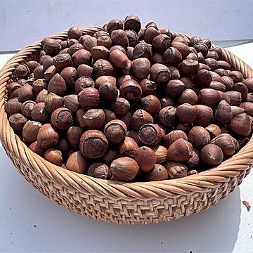 东北特产毛榛子坚果2000g[10元优惠券]-寻折猪