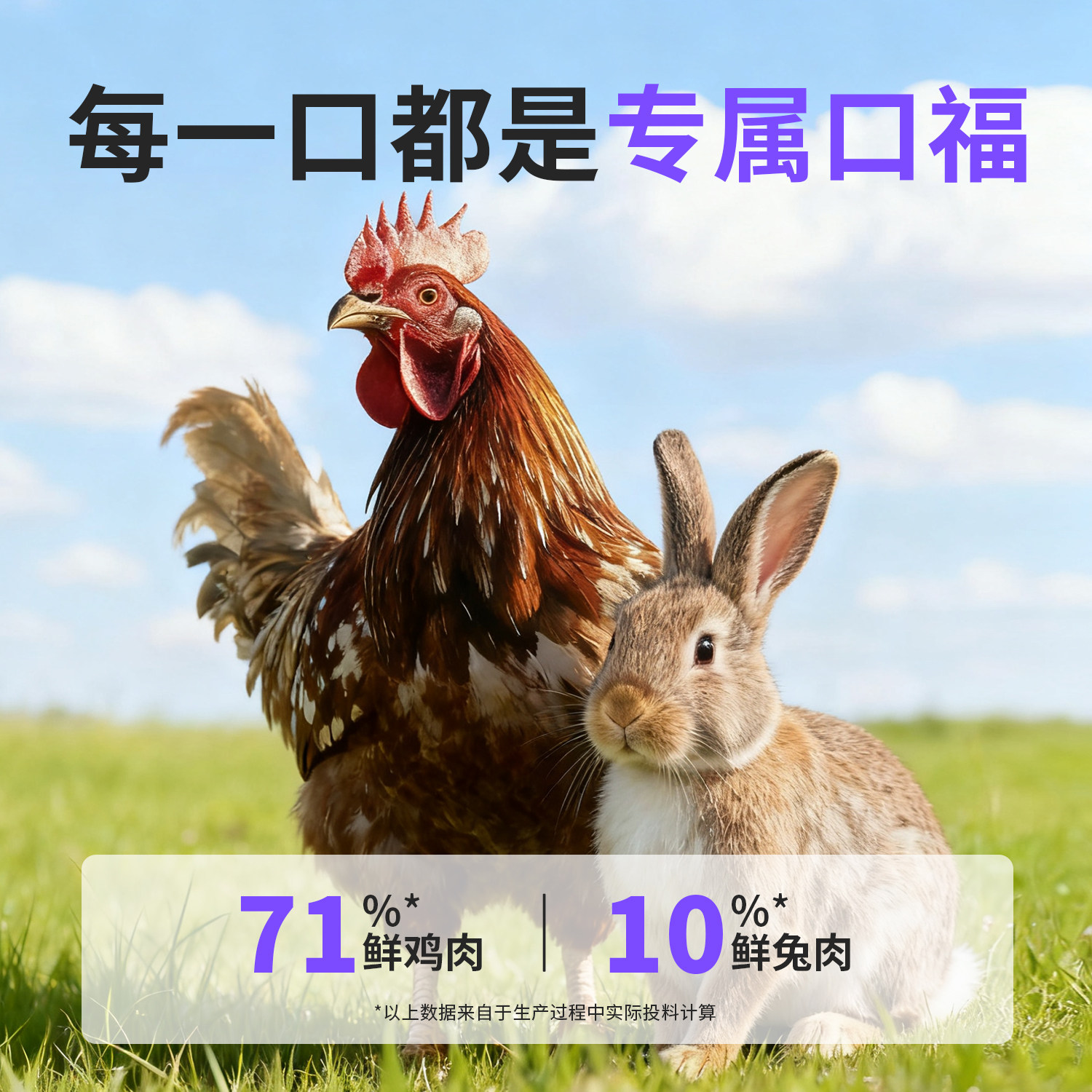 鲜鸡肉兔肉烘焙美毛猫粮全价全期磷虾油卵磷脂胶原蛋白鲜肉猫粮,淘宝优惠券,粉丝福利购,淘宝优惠卷