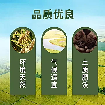 现磨东北鼎盛长粒香大米2.5kg[5元优惠券]-寻折猪