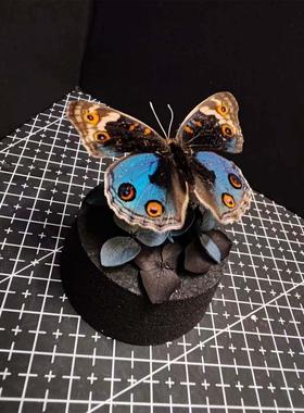 翠蓝眼蛱蝶真蝴蝶艺术标本玻璃罩摆件小众手工生日收藏礼物真蝴蝶