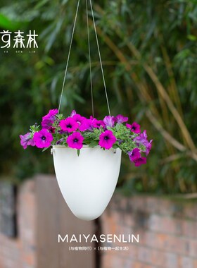园艺室内阳台庭院绳白色蛋形垂吊树脂懒磨砂盆