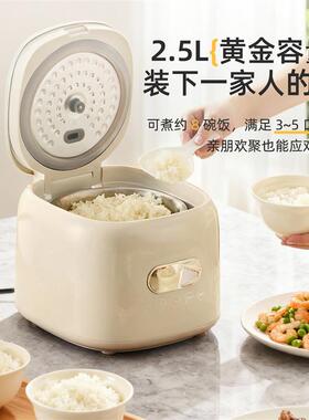 Amazon跨境电饭煲智能110v电锅滤篮多功能电饭锅出口中国台湾美国