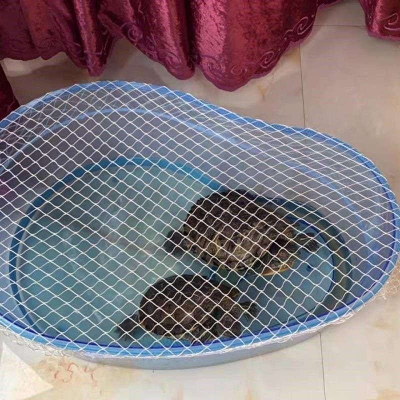 鱼网罩塑料箱网罩鱼缸防跳网乌龟箱防逃网圆形鱼缸防鱼跳网鱼池防,淘宝优惠券,粉丝福利购,淘宝优惠卷
