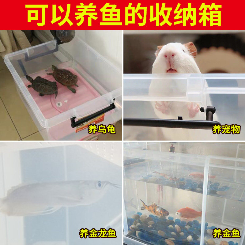 pp塑料透明水箱养鱼箱大号长方形家用养殖龟箱整理箱养宠物的箱子,淘宝优惠券,粉丝福利购,淘宝优惠卷