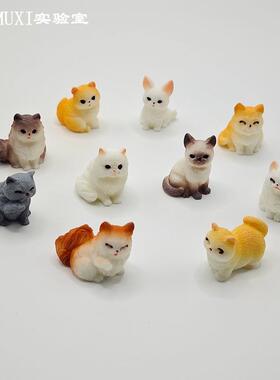 仿真动物模型小号可爱猫咪公仔橘猫波斯德文布偶猫微景观桌面摆件