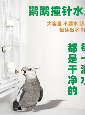 鹦鹉鸟用撞针饮水器自动喂水器喝水壶大中小型挂式饮水器鸟笼配件