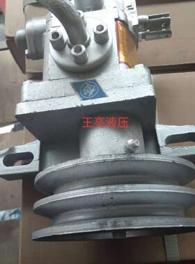 时风三轮车原厂配件左右旋液压油泵双槽轮油泵翻斗齿轮泵