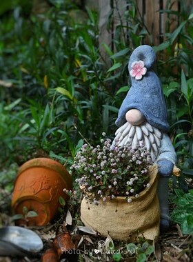 氧化镁布袋精灵in地精甘道夫手捧布袋花盆阳台花园装饰摆饰花架