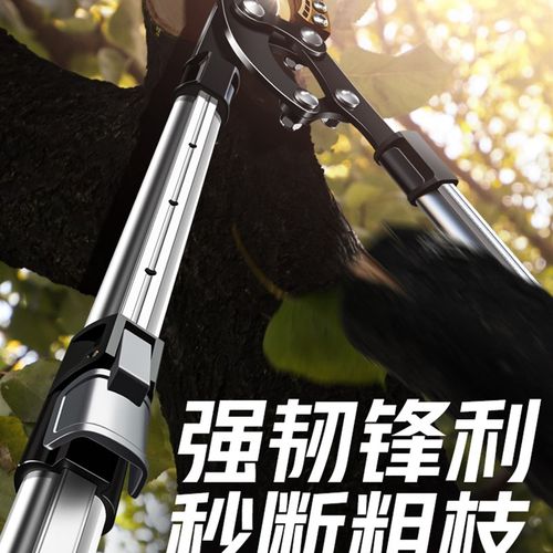 园林剪枝剪刀剪树枝修剪园艺专用果树修枝粗枝剪大力剪强力大剪子 - 图0