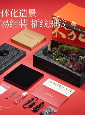 BANSHAN东方山水流水植物雨林缸家居网红小众摆件送领导解压送礼