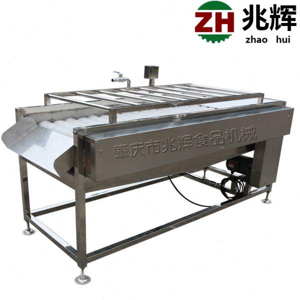 全自动桔子清洗机 连续软毛刷喷淋清洗机 不锈钢材质洗果设备,淘宝优惠券,粉丝福利购,淘宝优惠卷