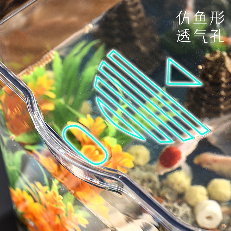 养乌龟专用缸家用带盖透明塑料亚克力小型防逃逸巴西龟的盆箱盒子 - 图2