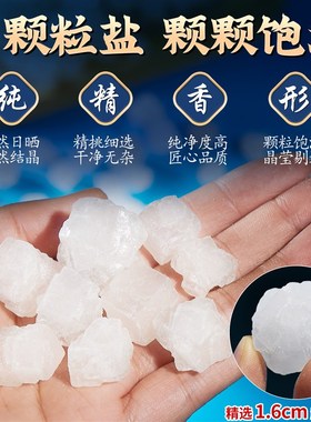 【16大粒径】天然粗盐大粒盐净宅摆件盘子搬家结婚乔迁新居卫生间