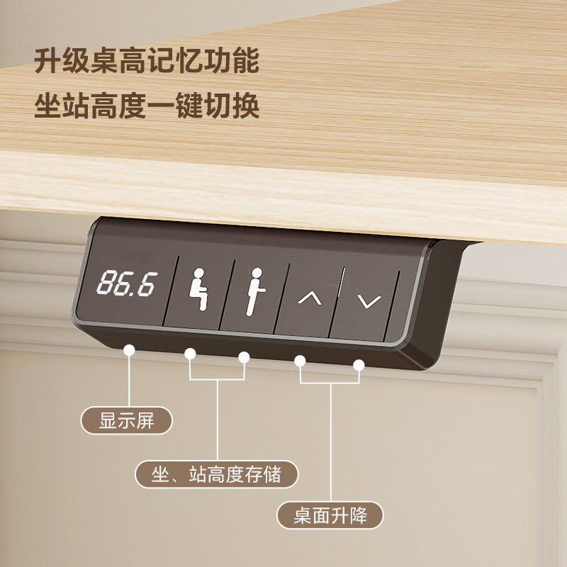 乐歌电动升降桌E1S/E1N小户型家用办公笔记本书桌电脑桌学习桌 - 图1