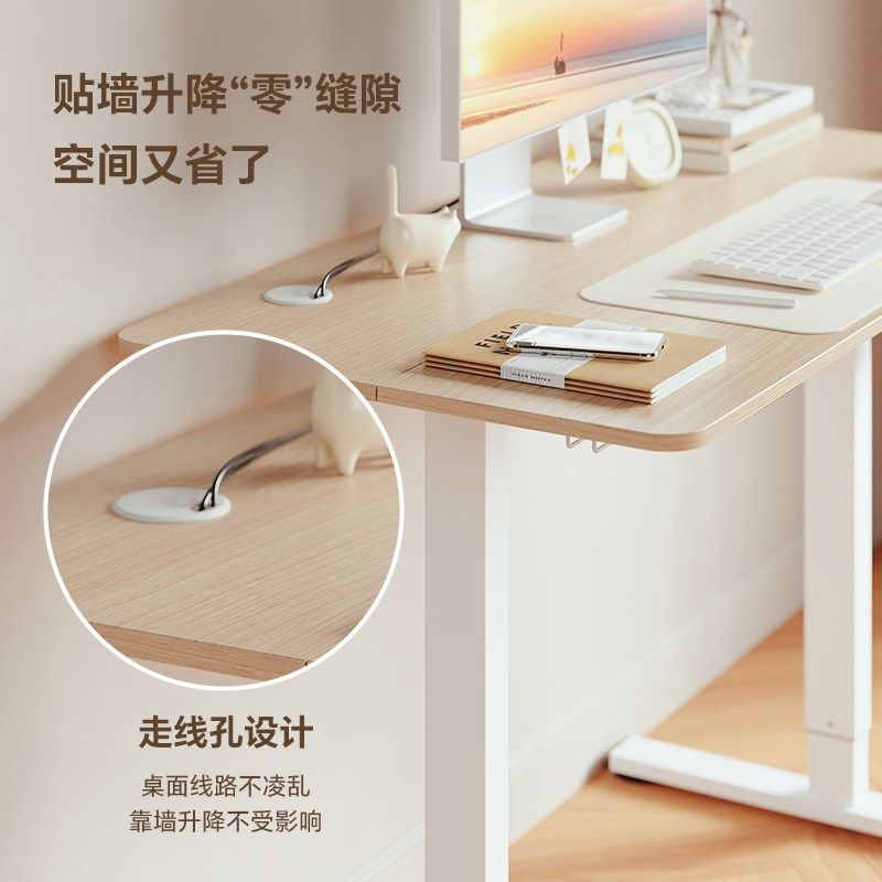 乐歌电动升降桌E1S/E1N小户型家用办公笔记本书桌电脑桌学习桌 - 图3