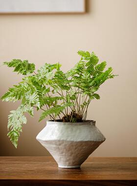 景德镇陶瓷小花盆大口径多肉植物盆阳台室内湖蝶兰水培三角梅盆栽