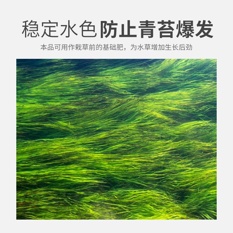 水草状根颗粒水产养殖龙虾塘专用水草长根护草宝生根发芽高温保草,淘宝优惠券,粉丝福利购,淘宝优惠卷