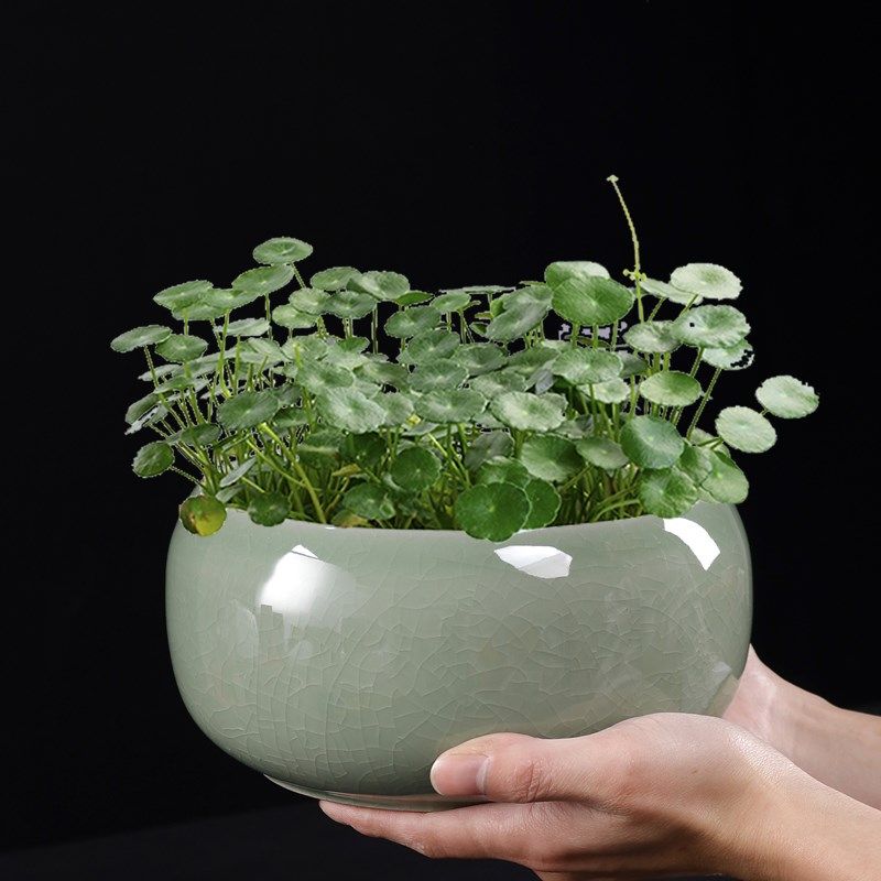 哥窑水培绿植陶瓷花盆碗莲睡莲荷花大口径专用盆缸无孔阳台一叶莲,淘宝优惠券,粉丝福利购,淘宝优惠卷