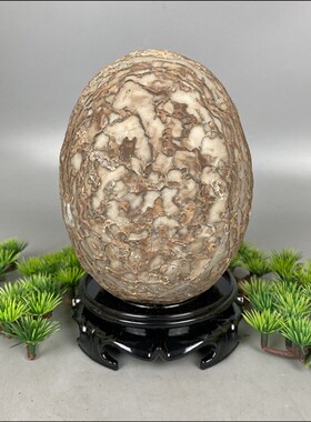 天然结核纹石蛋树皮石蛋恐龙石蛋原石摆件观赏石奇石收藏他山石头