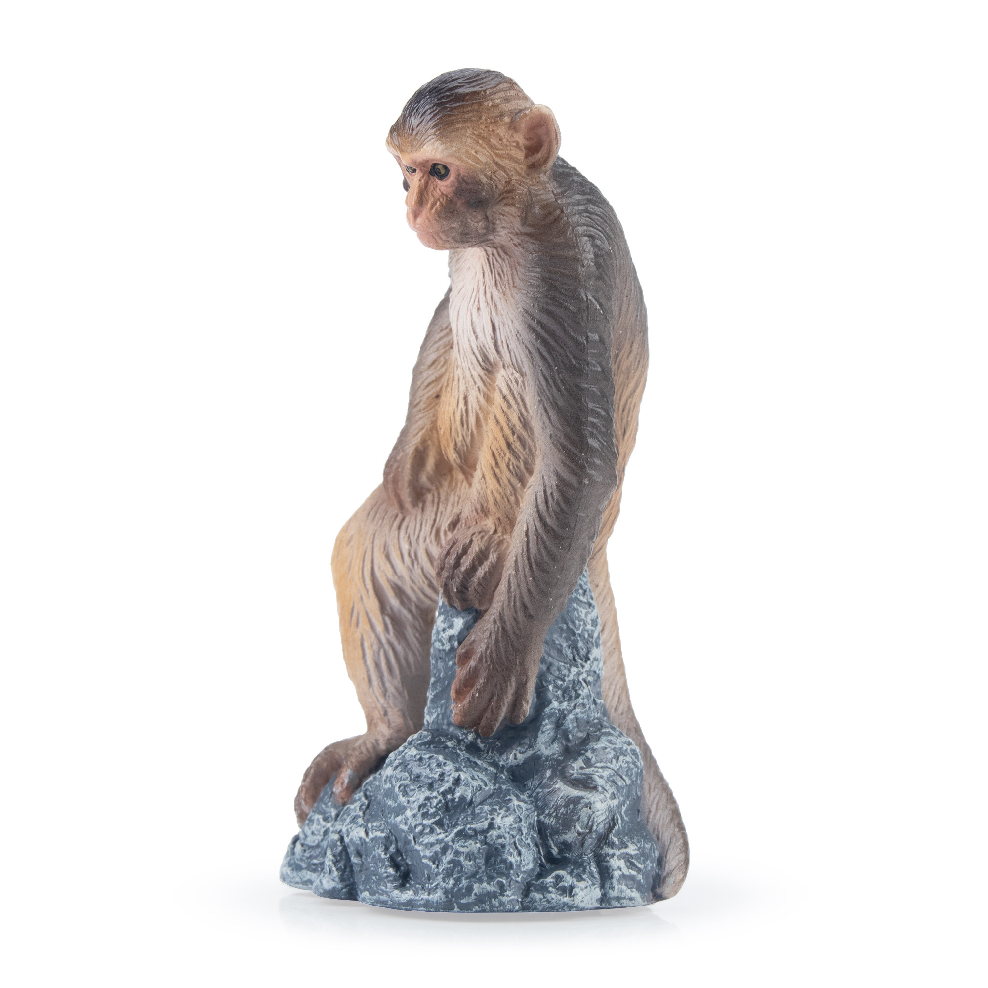 模乐玩具TOYMANY猕猴灵长类系列野生仿真动物模型猴子儿童玩具 - 图3