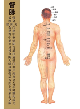 中医针灸艾灸人体经络穴位图大挂图全身图解高清养生海报家用按摩
