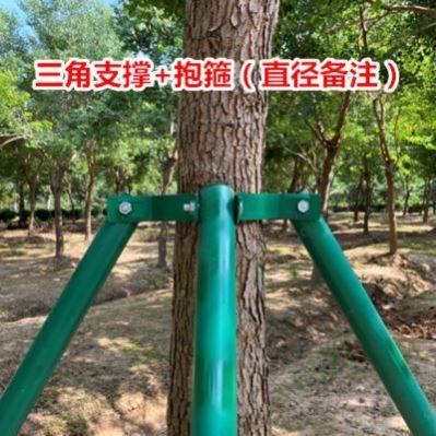 树木支撑固定器铁抱箍防风支撑杆绿化行道苗木支撑架镀锌烤漆钢管,淘宝优惠券,粉丝福利购,淘宝优惠卷