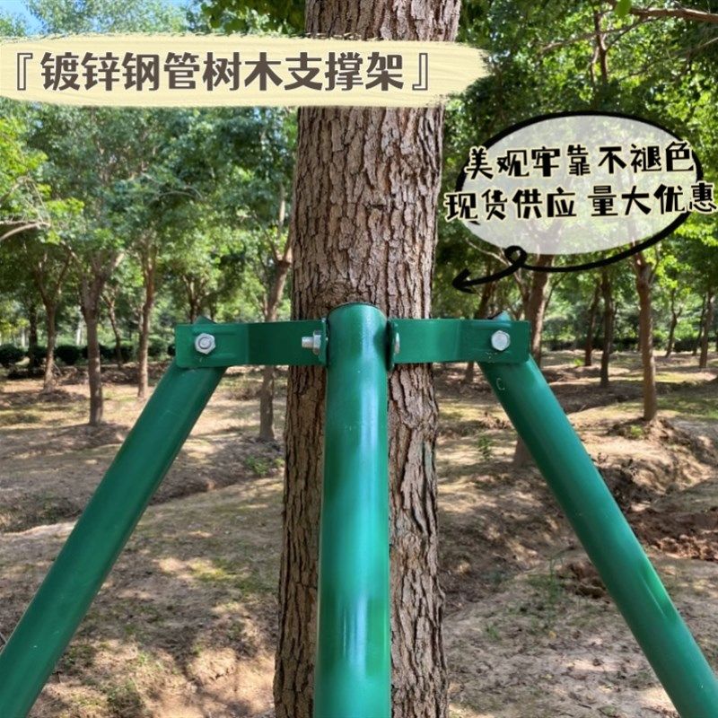 镀锌钢管树木支撑架绿化支撑杆大树防风树支撑园林绿化支架固定器,淘宝优惠券,粉丝福利购,淘宝优惠卷