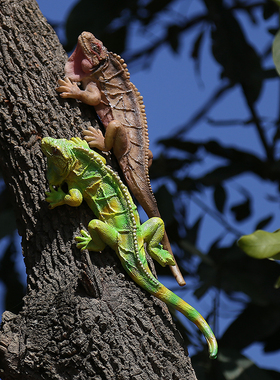 仿真蜥蜴装饰 爬行动物花园摆件庭院装饰 创意园艺蜥蜴挂件
