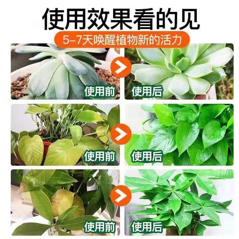 羽化臣2号植物营养液家用盆栽养花发树金钱树店羽花华臣二号,淘宝优惠券,粉丝福利购,淘宝优惠卷