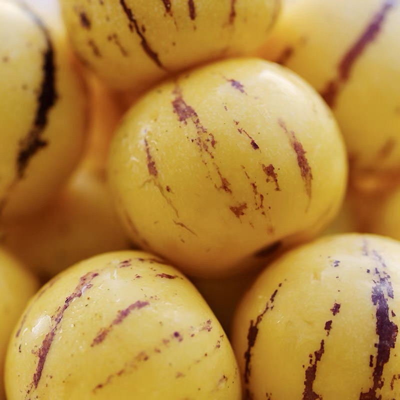 云南石林人参果中大果新鲜人叁果水果七彩黄肉圆果人生果新鲜现摘 - 图0