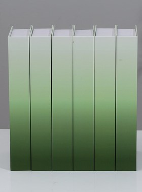 颜色渐变假书装饰书摆件样板间书柜道具模型吧台仿真书颜色可定制