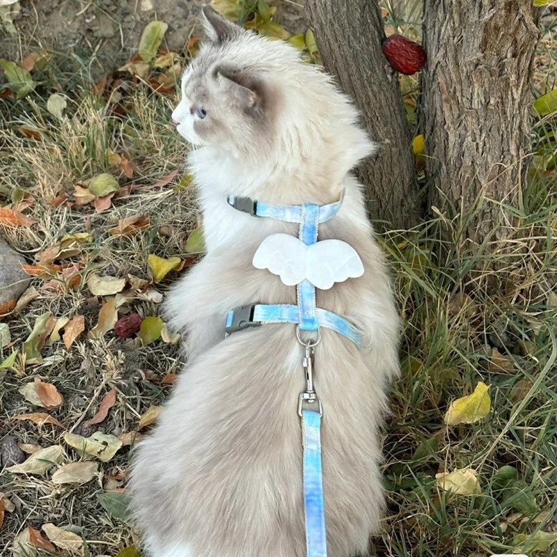 猫咪牵引绳外出专用可调节胸背遛猫绳子可爱翅膀小型犬宠物狗用品,淘宝优惠券,粉丝福利购,淘宝优惠卷