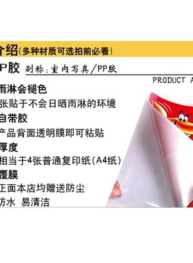 牡丹客厅装饰画沙发背景画卧室床头图富贵牡丹雀挂画