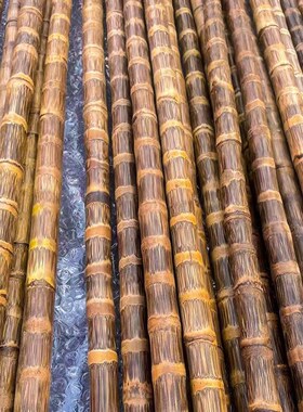 龙血金丝竹密节纯手工打磨实心武术竹棍棕竹教鞭手杖登山杖手拐杖