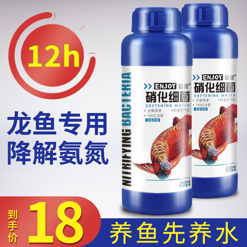 龙鱼硝化细菌鱼缸用消化活菌酸奶银龙鱼鹦鹉鱼招财发财专用净水剂 - 图0