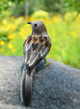 仿真麻雀小鸟羽毛麻雀灰色羽毛小鸟装饰拍摄道具假树装饰