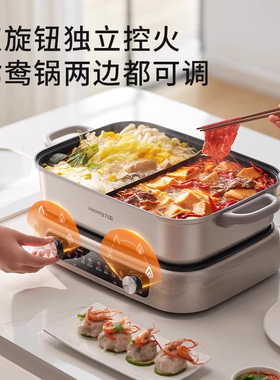 九阳鸳鸯电火锅专用分体式多功能