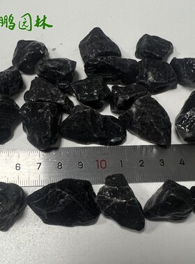 胶粘石黑色洗米石 园林园路铺装用水洗石 英鹏石业加工定 制