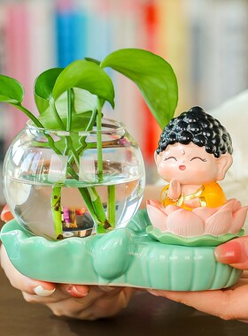 小神仙水养绿萝水培装饰家居办公室桌面工位花瓶客厅插花清新摆件