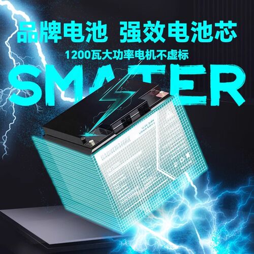 电动轮车小型女士电动车老年休闲车老轮车新款带棚 - 图0