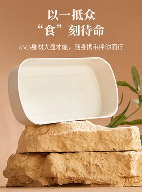 饭盒无水110V恒温注水上班族电热饭盒加热饭温带办公室欧英规免保