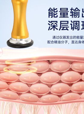 健康电疗仪跨境越南DDS养生理疗理疗仪健康器械养生仪大全身仪器