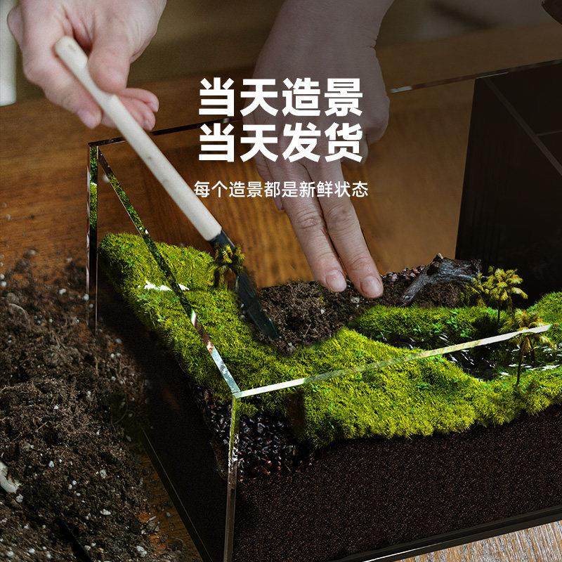 生态乌龟缸造景全套饲养鱼龟混养懒人养龟小型小乌龟专用家用鱼缸,淘宝优惠券,粉丝福利购,淘宝优惠卷