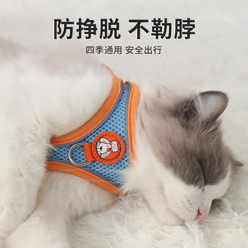 猫咪牵引绳防挣脱外出专用遛猫绳小型犬泰迪比熊胸背带绳子可调节,淘宝优惠券,粉丝福利购,淘宝优惠卷