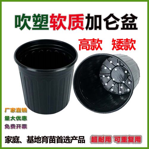 黑色加仑育苗盆家庭育苗推荐款木本植物专用黑色加厚育苗盆 - 图0
