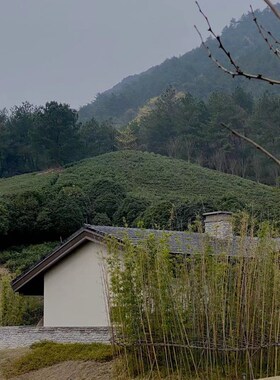 若奈《节节高》竹叶入画手绘清雅东方客厅餐厅书房茶室新中式挂画