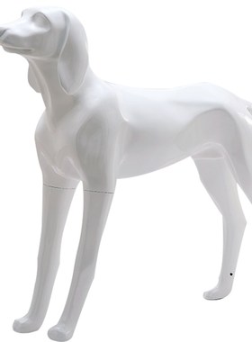 狗摆件大型客厅落地前腿可拆卸玻璃钢宠物模特衣服Z展示犬模型