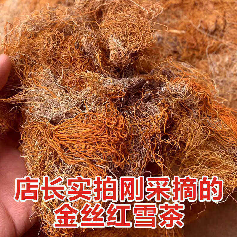 红雪茶西藏高山金丝红雪茶的功效野生正品鹿心血茶高原红血茶泡水,淘宝优惠券,粉丝福利购,淘宝优惠卷