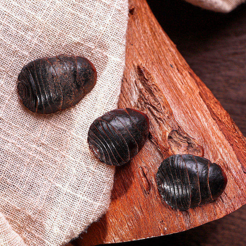 土鳖虫 中药材新干货大土元100g克土鳖子 地必虫 地乌龟 蟅虫包邮,淘宝优惠券,粉丝福利购,淘宝优惠卷